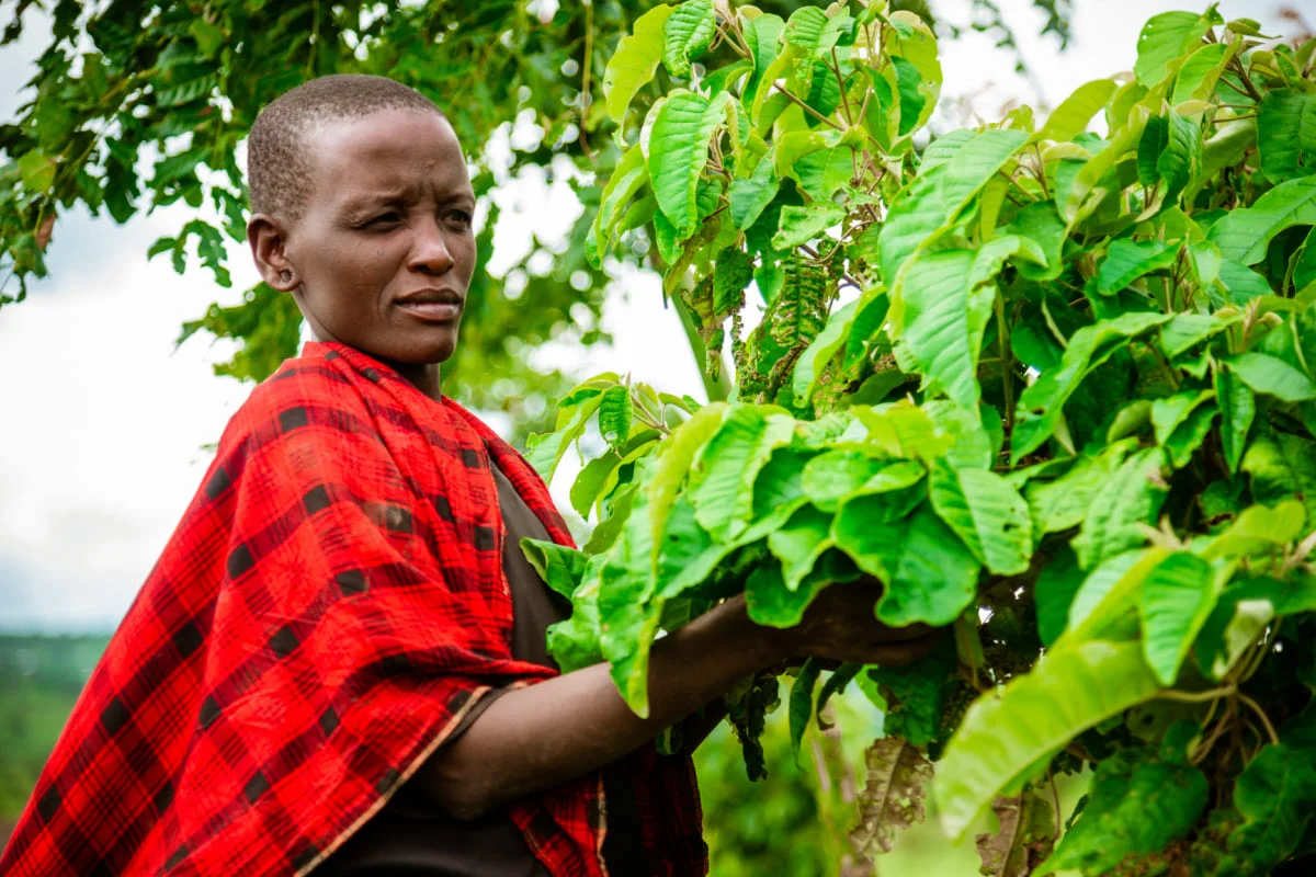Una partecipante al progetto zeroCO2 in Tanzania tra gli alberi